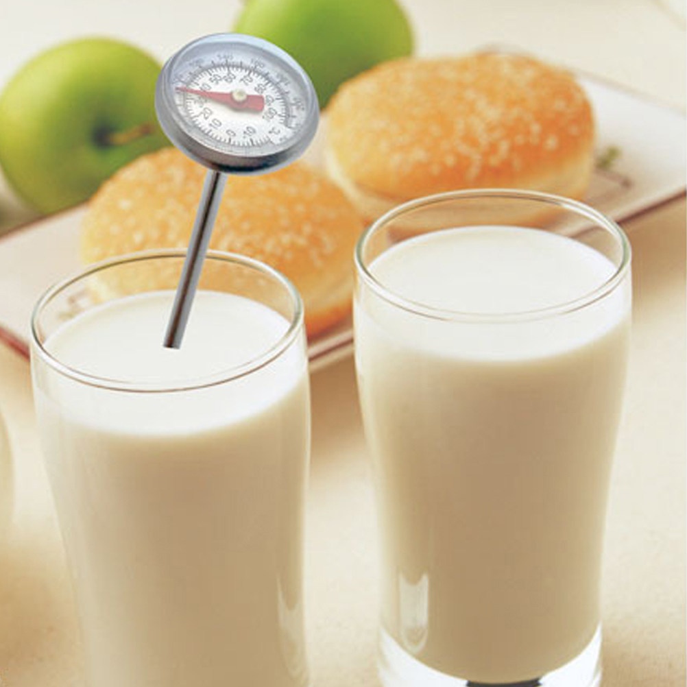 Stainless Steel Food Thermomet - Meat Thermometer ulasan dan harga