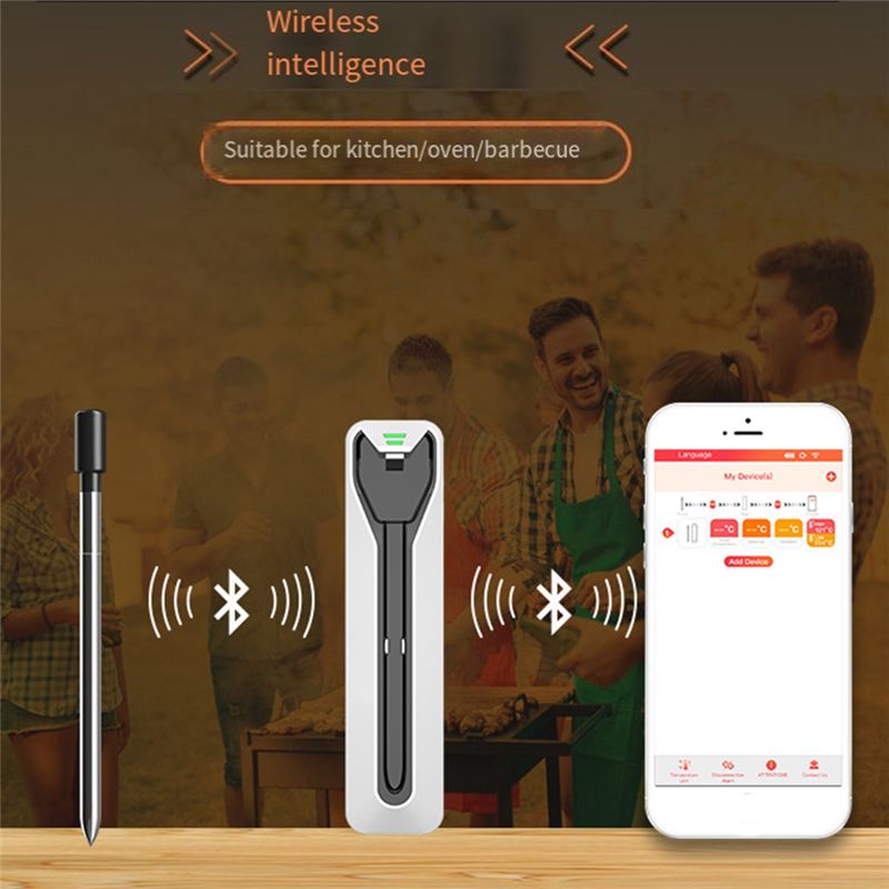Wireless Meat Food Thermometer - Meat Thermometer ulasan dan harga
