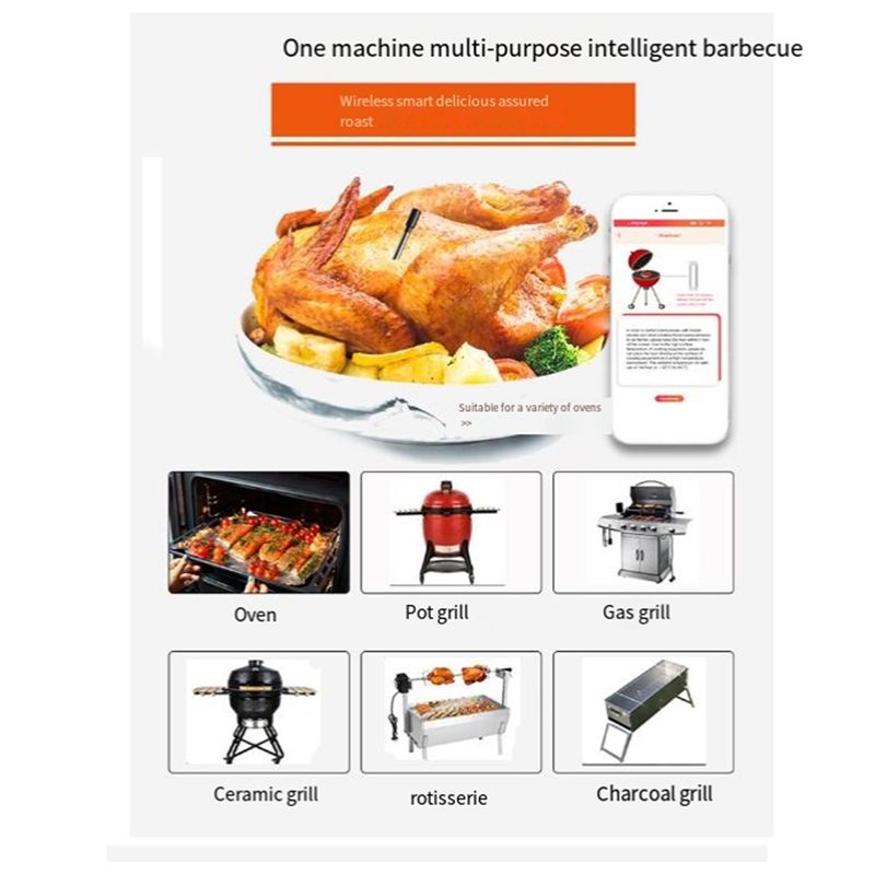 Wireless Meat Food Thermometer - Meat Thermometer ulasan dan harga