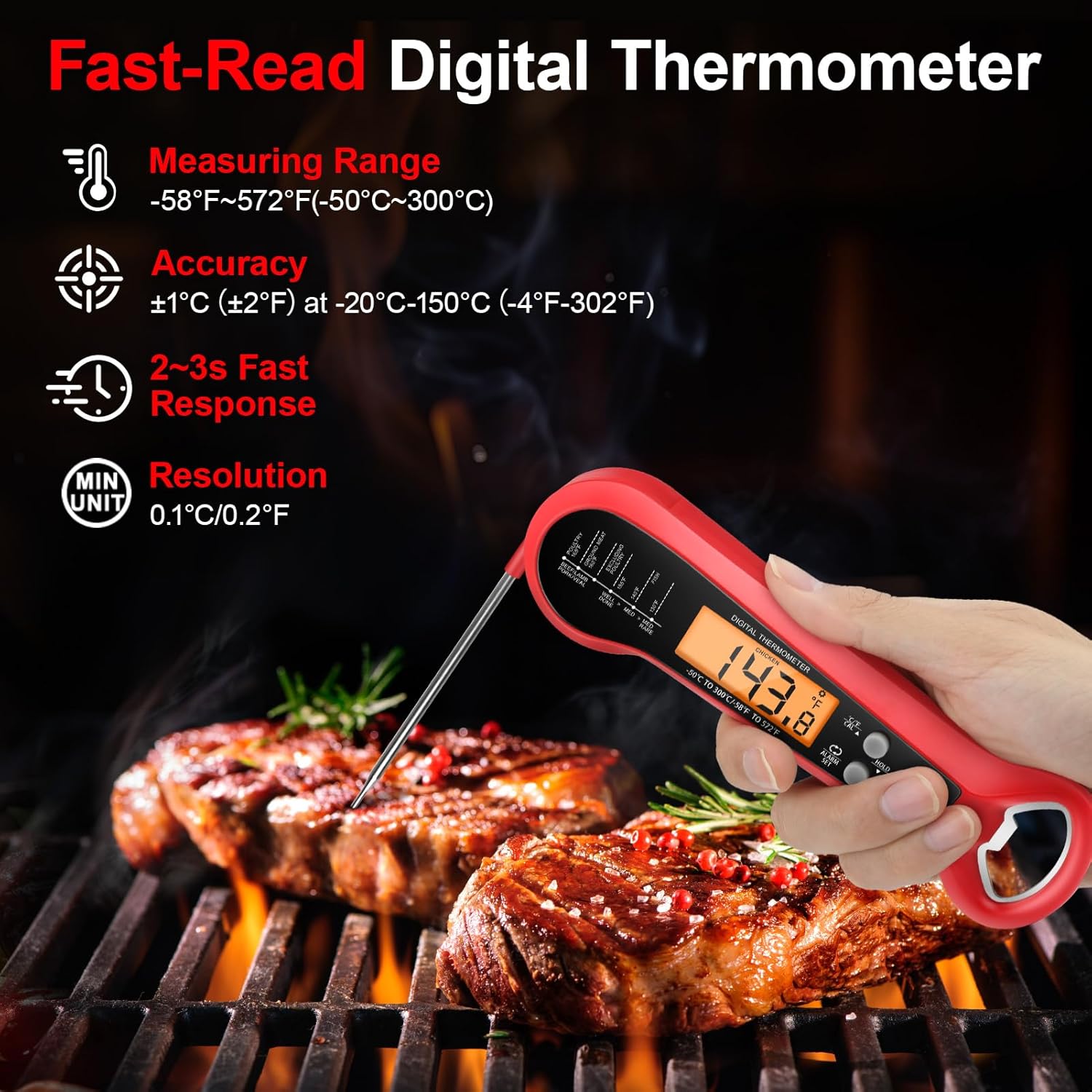 Professional Digital Meat Ther - Meat Thermometer ulasan dan harga